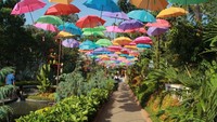 Harga tiket masuk Chevilly Resort and Camp cuma Rp 20.000/orang. Dengan biaya tersebut kamu sudah bisa menikmati segala keindahan yang tersaji di tempat ini. Foto: Instagram @frameofjndrl