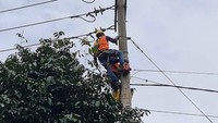 PLN juga telah mengumpulkan genset portable berkapasitas 2,2 sampai 4 Kilo Watt (KW) sebanyak 8 unit, kapasitas 23 KW sebanyak 1 unit dari ULP dan UP3 terdekat.