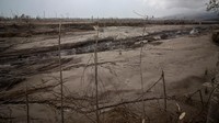 Suasana Jalur guguran awan panas letusan Gunung Semeru di kawasan Curah Besuk Kobokan, Candipuro, Lumajang, Jawa Timur, Senin (6/12/2021). ANTARA FOTO/Umarul Faruq