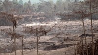 Gunung Semeru kembali mengeluarkan awan panas dengan jarak luncur sejauh 2,5 kilometer. ANTARA FOTO/Umarul Faruq  