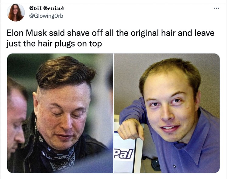 Meme rambut Elon Musk Meme rambut Elon Musk