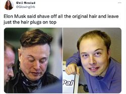 Rambut Unik Elon Musk Jadi Olok-olok Netizen