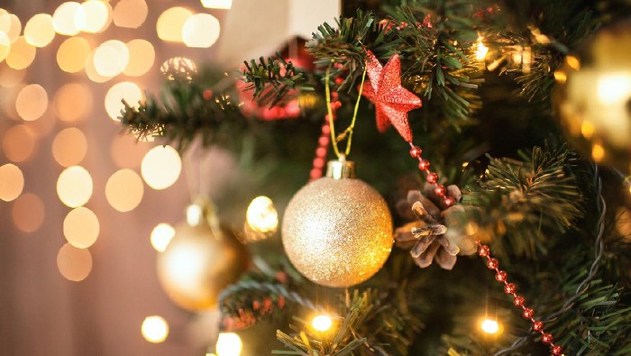 Natal