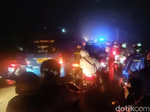 Pohon Tumbang Tutupi Jalan, Jalur Puncak-Cianjur Macet Parah!