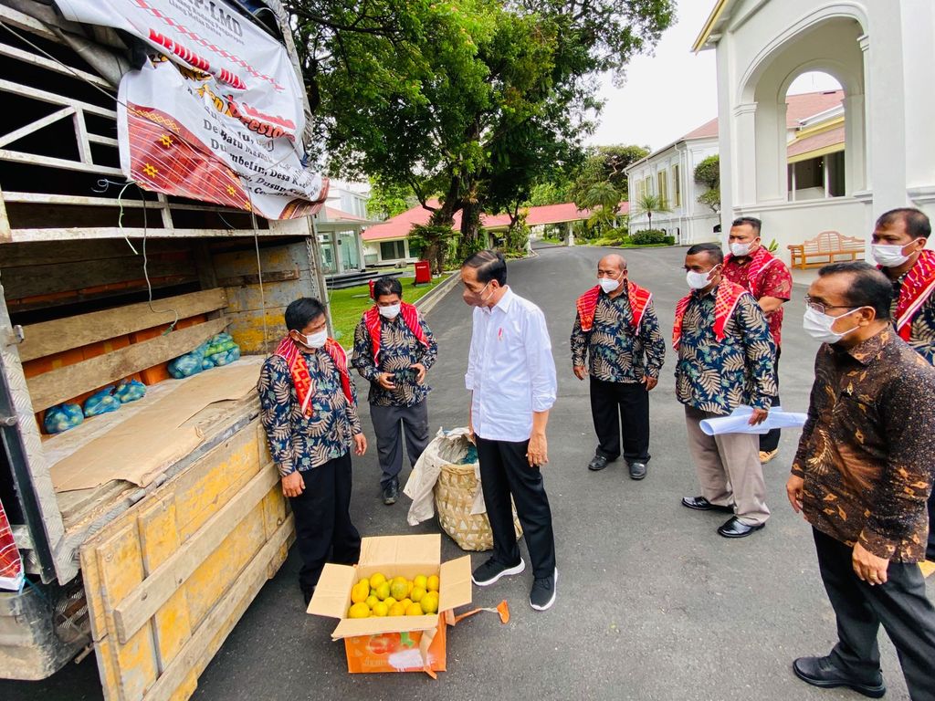 Potret Truk 3 Ton Jeruk 'Oleh-oleh' Warga Karo ke Jokowi di Istana