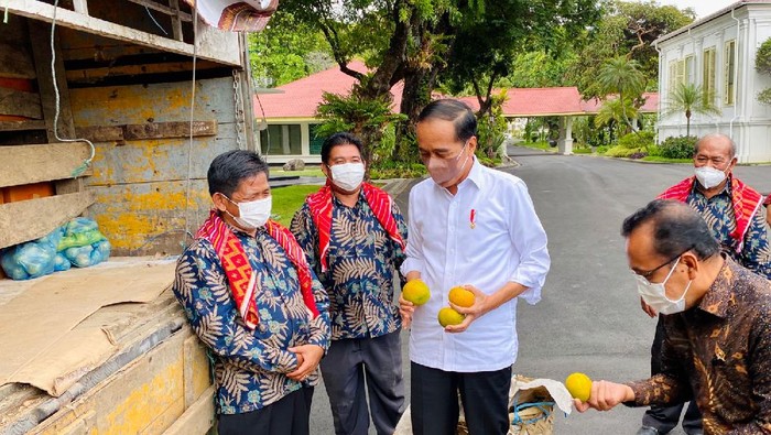 Potret Truk 3 Ton Jeruk Oleh-oleh Warga Karo ke Jokowi di Istana