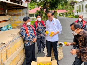 Jokowi Terima Satu Truk Jeruk Warga Karo: Nanti Saya Bagi ke Menteri PUPR