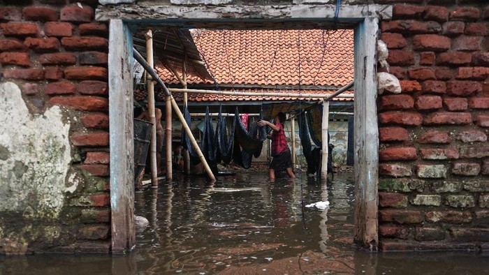 Produksi dan Penghasilan Perajin Batik Pekalongan Turun Imbas Banjir Rob Perajin membawa kain batik menggunakan perahu rakitan saat terjadi banjir rob di Pasirsari, Pekalongan, Jawa Tengah, Senin (6/11/2021). Menurut perajin setempat, banjir rob yang menggenangi wilayah itu sejak tiga pekan yang lalu membuat produksi batik terhambat dan mengalami penurunan penghasilan sekitar 30-40 persen. ANTARA FOTO/Harviyan Perdana Putra/wsj.