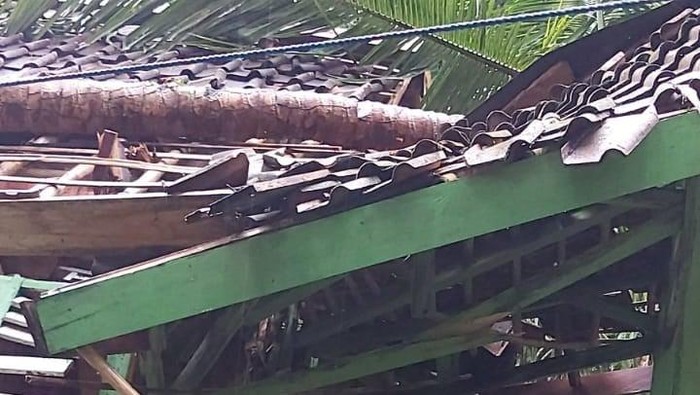 Rumah warga rusak tertimpa pohon tumbang.