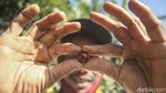 Sensasinya Tiada Dua, Begini Asyiknya Ngopi di Atas Awan ala Bali
