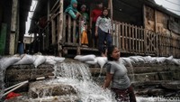Guna menghambat kenaikan air, warga memasang karung pasir di area bocornya tanggul laut tersebut.