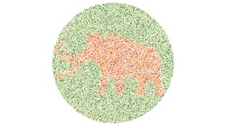 Gambar hewan berikut tersembunyi dalam siluet yang hanya bisa dilihat oleh orang dengan mata normal. Bila kamu kesulitan bisa jadi itu tanda buta warna.
