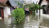 Ketinggian air di Perumahan Dewi Karmila Sari ada yang mencapai perut orang dewasa.