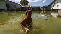 Seorang anak mengumpulkan botol bekas saat banjir pasang air laut atau rob di Desa Hagu Selatan, Kecamatan Banda Sakti, Lhokseumawe, Aceh, Senin (6/12/2021). Banjir rob musiman itu merendam tiga desa perkampungan nelayan dan merusak jalan lingkar pesisir pantai. (ANTARA FOTO/Rahmad).