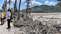Presiden Jokowi meninjau Jembatan Besuk Koboan di Kecamatan Candipuro, Kabupaten Lumajang, Selasa (7/12).