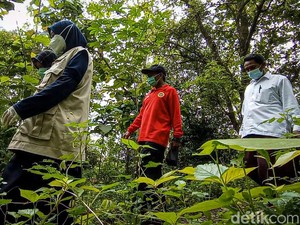 Ketika Nakes ke Pelosok Hutan Kulon Progo Demi Vaksinasi Lansia