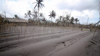 Rincian korban meninggal dunia teridentifikasi 14 orang di Kecamatan Pronojiwo, sedangkan 8 orang di Kecamatan Candipuro. Terkait dengan jumlah warga yang dinyatakan hilang, posko masih melakukan pendataan dan validasi. ANTARA FOTO/Umarul Faruq.  