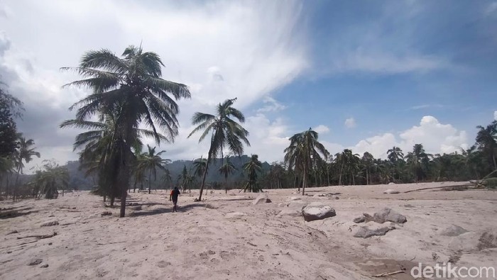 Tim SAR Gabungan terus melakukan pencarian warga yang tertimbun abu vulkanik di Kampung Renteng, Desa Sumberwuluh, Kecamatan Candipuro. Petugas dikejutkan warga yang menemukan potongan kaki