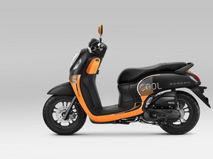 Honda Scoopy Warna dan Striping Baru Dirilis, Harga Naik?