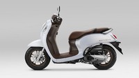 Honda Scoopy hadir dengan 4 pilihan varian dengan 8 pilihan warna yang telah disesuaikan dengan karakter pengendara yang beragam. Foto: Astra Honda Motor