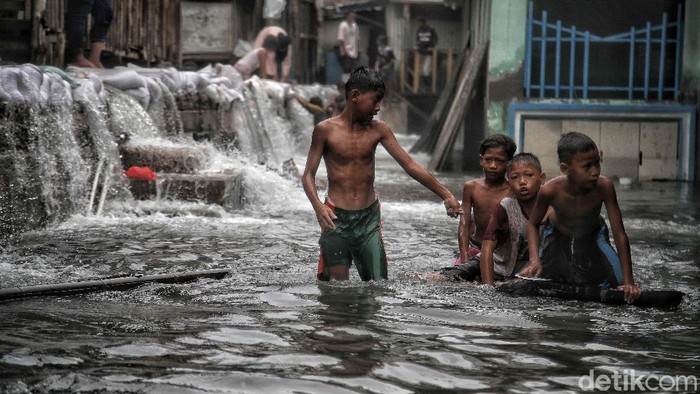 Kala Anak-anak di Muara Baru Hidup Berdampingan dengan Banjir Rob Bocornya tanggul laut di area Muara Baru memicu terjadinya banjir rob di kawasan itu. Meski begitu, banjir tak surutkan keceriaan anak-anak di kawasan tersebut.