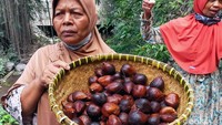 Mereka membersihkan salak-salak itu usai memanen sisa buah salak di perkebunan milkinya yang terguyur abu vulkanik.