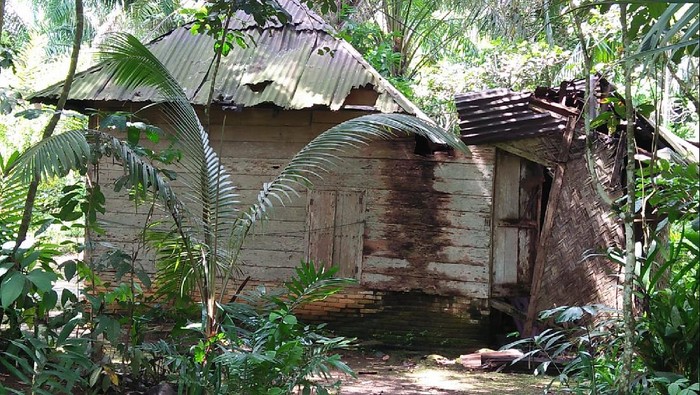 Kondisi Rumah Kakek Badu Ali Rambe di Paluta, Sumut (istimewa)