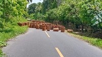 Selain itu, 4 mobil polisi dirusak massa.