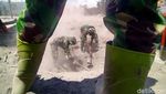 Pencarian Korban Erupsi Gunung Semeru Terus Berlangsung