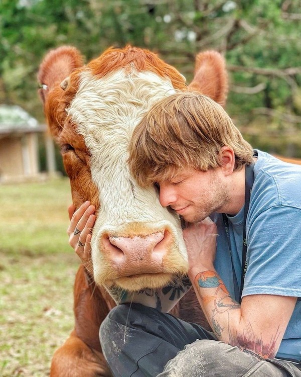 Hewan-hewan yang ada di sini seperti kuda, keledai, sapi, babi, domba, kambing, ayam, kalkun, merak, llama, emu, anjing, kucing, burung beo, dan merpati. Semua hewan ini diselamatkan dari para manusia yang tidak bertanggung jawab. Hewan-hewan yang ada di sini seperti kuda, keledai, sapi, babi, domba, kambing, ayam, kalkun, merak, llama, emu, anjing, kucing, burung beo, dan merpati. Semua hewan ini diselamatkan dari para manusia yang tidak bertanggung jawab.
