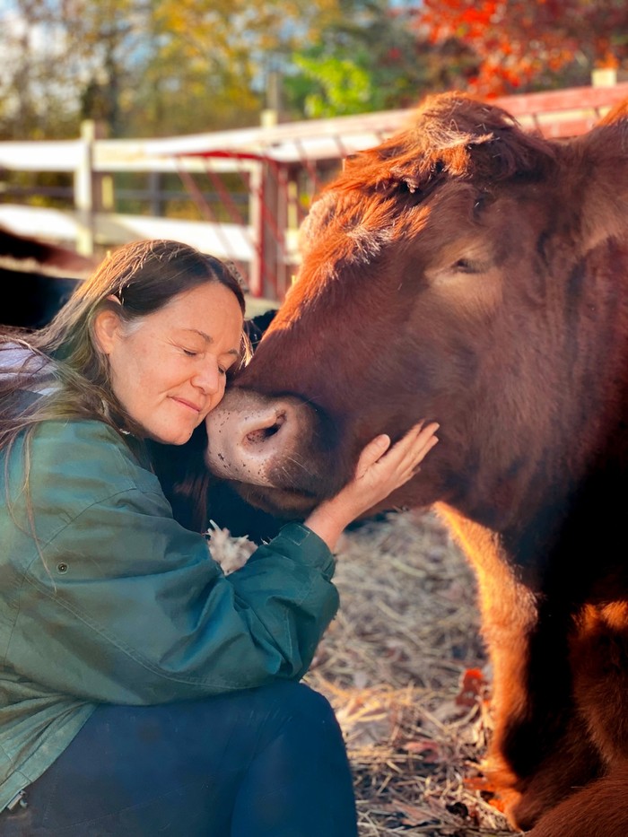 The Gentle Barn