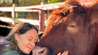 The Gentle Barn, sebuah penampungan dan penyelamat hewan, memberikan kesempatan kepada pengunjung yang membutuhkan terapi untuk melepas stres. Mereka akan memfasilitasi sesuai kebutuhan pengunjung.