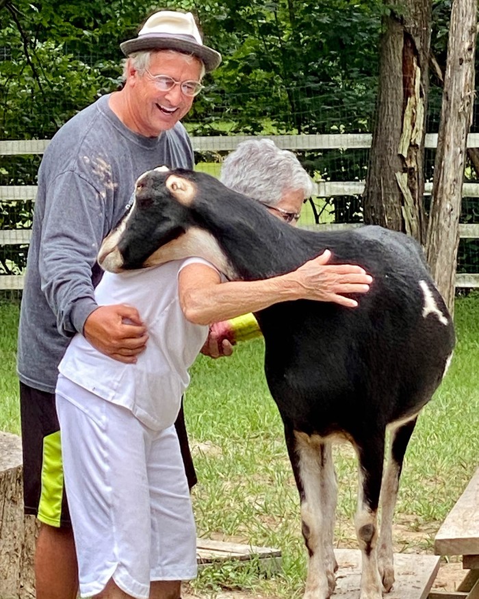 The Gentle Barn