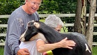 Untuk ikut serta dalam terapi pelukan sapi di The Gentle Barn, kamu bisa membeli tiket terlebih dahulu atau bahkan memesan tur pribadi untuk menikmati seluruh tempat ini untuk kamu sendiri. Tertarik?
