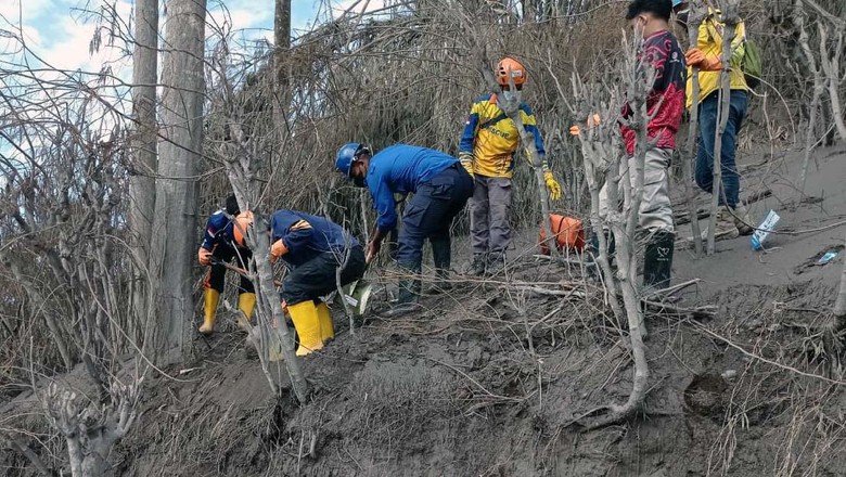 Tim SAR Evakuasi Korban Tewas Erupsi Semeru Tim SAR gabungan terus melakukan pencarian korban yang tertimbun abu vulkanik Gunung Semeru. Pagi tadi ada 5 jenazah yang ditemukan.