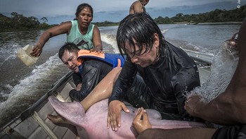 Karya Jaime Rojo Foto: Wildlife Photographer of The Year