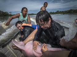 Karya Keren Finalis Kontes Foto Satwa Liar yang Bikin Terkesima