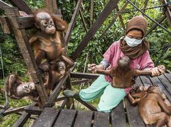 Karya Keren Finalis Kontes Foto Satwa Liar yang Bikin Terkesima