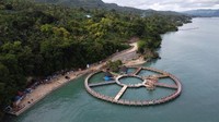 Gimana nih, detikers tertarik nggak buat berkunjung ke jembatan ini?