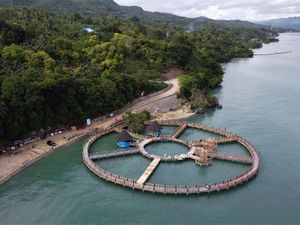 Pesona Jembatan Lingkar Lapaoili di Buton Selatan