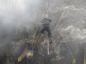 5 Pekerjaan Ekstrem yang Dijalani Orang Demi Bisa Makan 