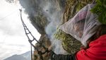 Eksotis, Para Pemburu Ini Masih Memanen Madu di Tebing Terjal