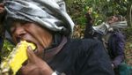 Eksotis, Para Pemburu Ini Masih Memanen Madu di Tebing Terjal