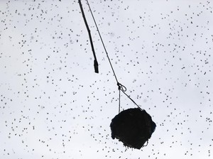 Pria Dompu Tewas Jatuh dari Tebing 50 M Saat Panen Madu