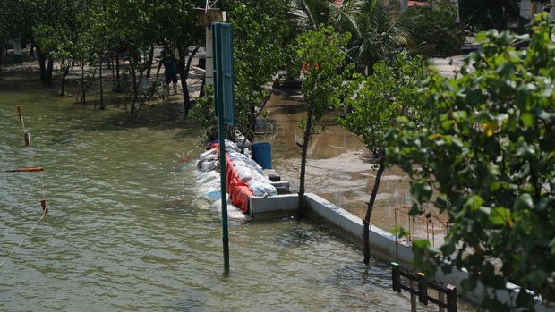 Banjir Rob Ancol (CNBC Indonesia/Tri Susilo)