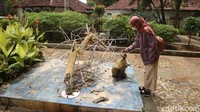 Namun setelah diperbaiki, karena listriknya paralel maka saat ada korsleting, semua lampion mati. (Dian Utoro Aji/detikcom)