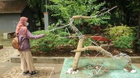 Kini,  Banyak lampu hias di Wisata Taman Lampion yang sudah tidak berfungsi. Bahkan sejumlah lampu rusak parah hingga hancur. (Dian Utoro Aji/detikcom)