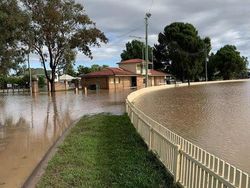 Awas Foto Ini Menyesatkan Mata Bila Dilihat Sekilas