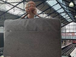 Awas Foto Ini Menyesatkan Mata Bila Dilihat Sekilas