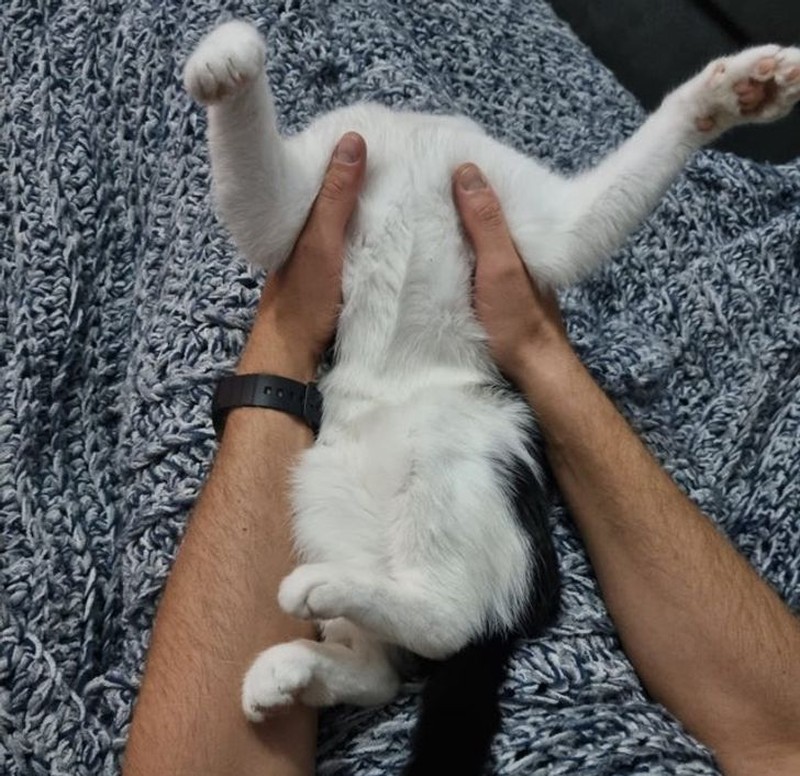 Foto menyesatkan